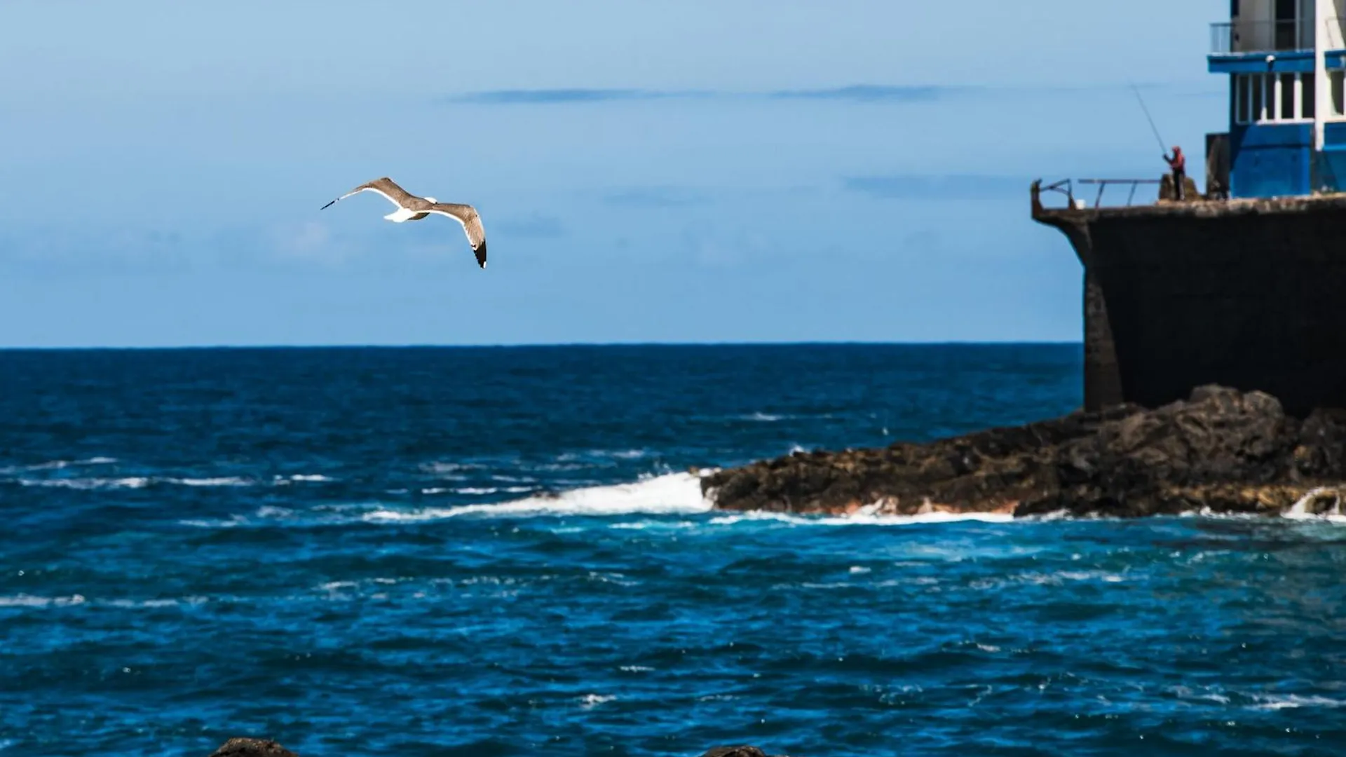 Sunny Vibes Apartment With Sea View Costa Adeje  Costa Adeje (Tenerife)